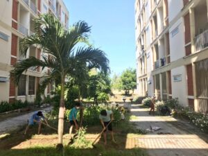 Sinh viên VKU với hoạt động tình nguyện vì môi trường VKU xanh – sạch – đẹp (3)
